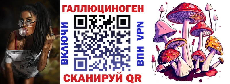 kraken как войти  купить наркотик  Орлов  Псилоцибиновые грибы Psilocybine cubensis 
